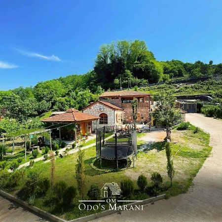 Odo'S Guest House มาร์ทวิลิ ภายนอก รูปภาพ