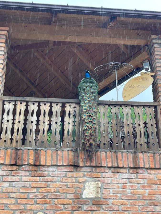 Odo'S Guest House มาร์ทวิลิ ภายนอก รูปภาพ